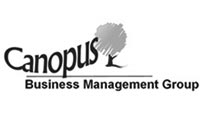 What Skills are needed for Business Transformation?