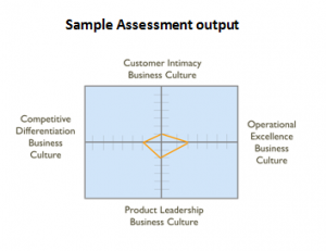 Protected: Canopus Business Culture Assessment Survey