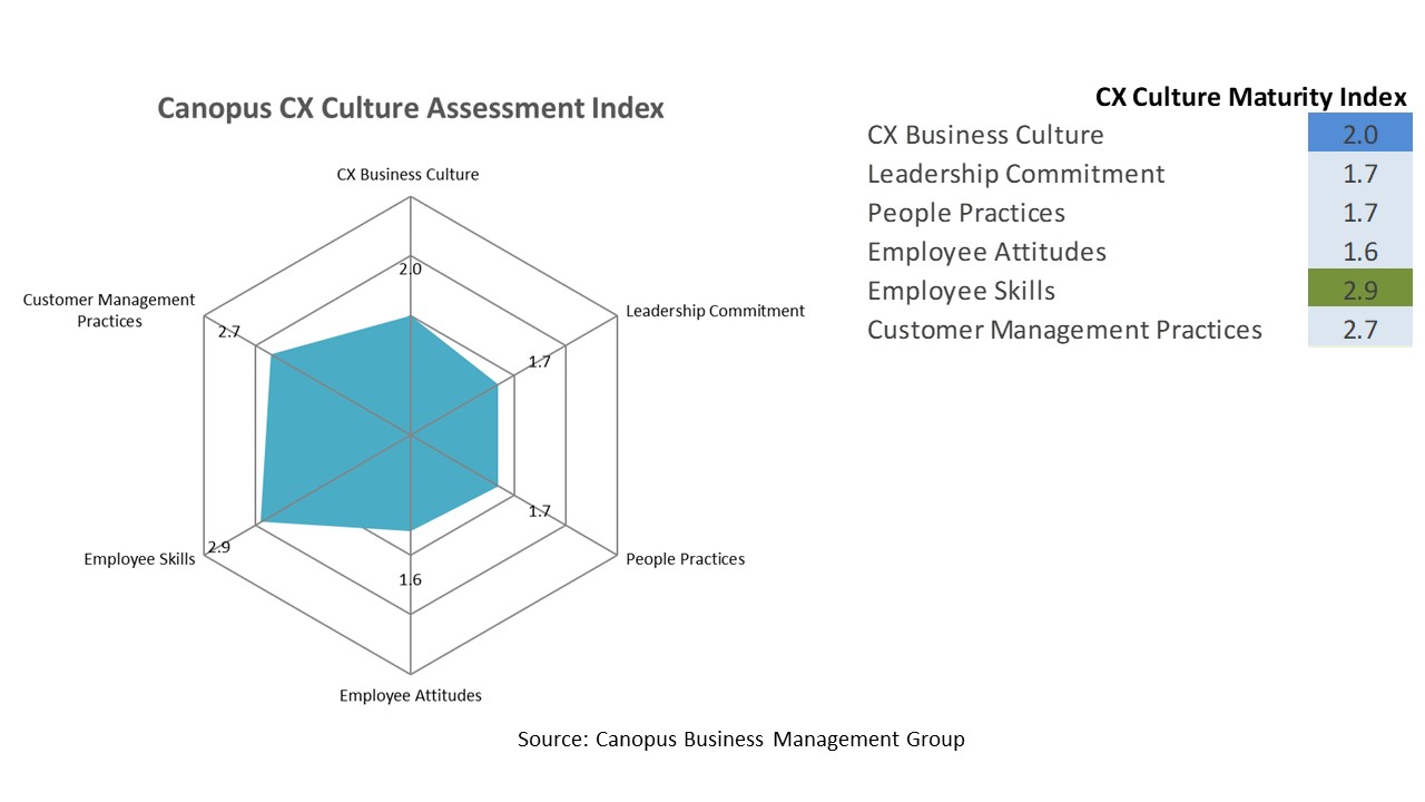 CX Assessment