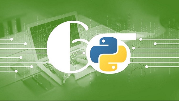 Python for Lean Six Sigma Professionals