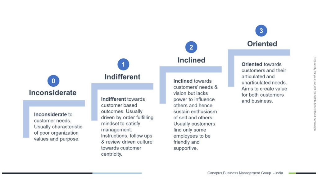 Sample Customer Centricity Assessment Report