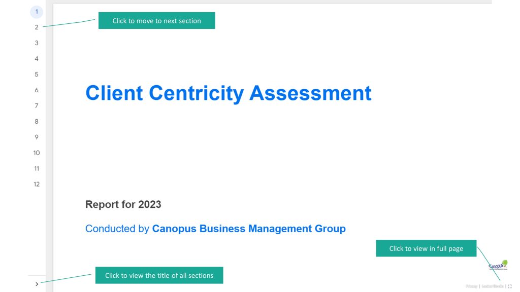 Client Centricity Report